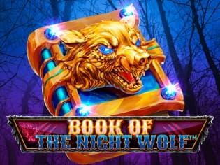 Book Of The Night Wolf game thumbnail